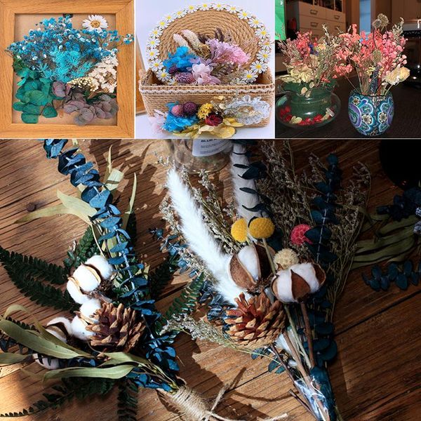 box real dried flower dry plants for candle epoxy resin pendant necklace jewelry making craft diy accessories tools
box real dried flower dry plants for candle epoxy resin pendant necklace jewelry making craft diy accessories tools