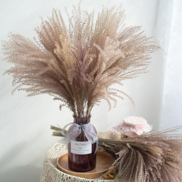decorative flowers & wreaths 15pcs dried pampas grass natural phragmites&reed fowers&bulrush wedding party supplies home decoration
decorative flowers & wreaths 15pcs dried pampas grass natural phragmites&reed fowers&bulrush wedding party supplies home decoration