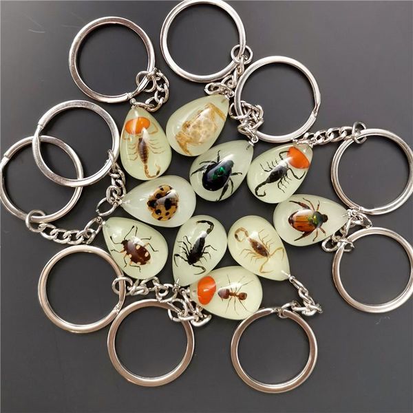 keychains luminous real scorpion wasp key chain bag car ring glow in dark original insect trinket for men woman's accesories, Silver
keychains luminous real scorpion wasp key chain bag car ring glow in dark original insect trinket for men woman's accesories, Silver