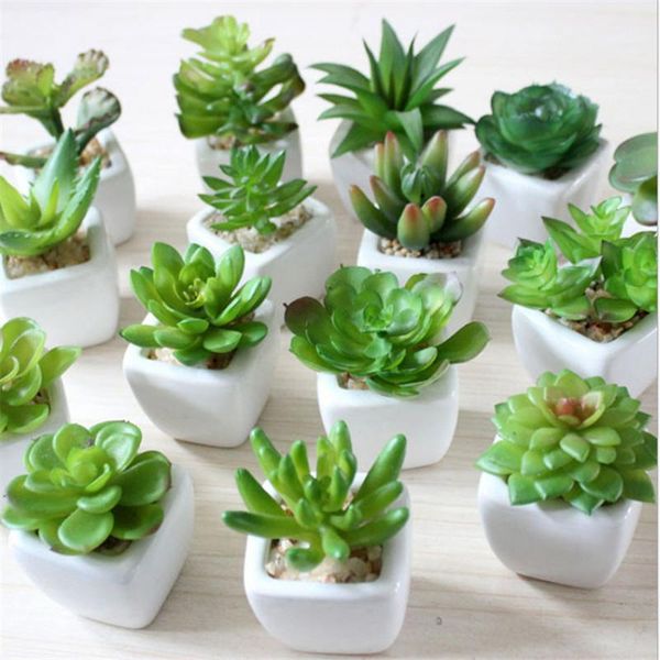 decorative flowers & wreaths 1pc lovely artificial plants with pot simulation succulents mini bonsai potted placed green fake table decorati
decorative flowers & wreaths 1pc lovely artificial plants with pot simulation succulents mini bonsai potted placed green fake table decorati
