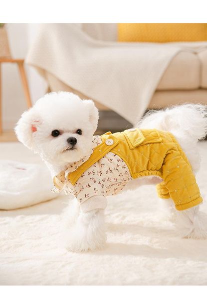 cat costumes dog clothes winter warm pet jacket coat puppy chihuahua clothing hoodies
cat costumes dog clothes winter warm pet jacket coat puppy chihuahua clothing hoodies