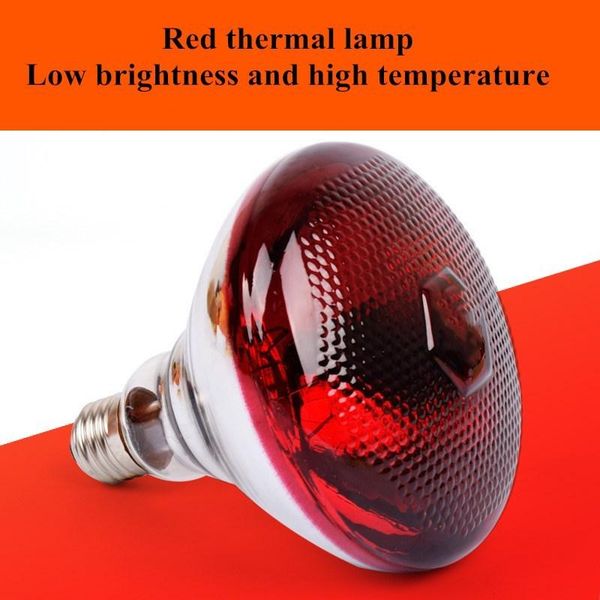 bulbs farm light thermal preservation pig chicken e27 thicken heat bulb brooder lamp 220v 100/150/200/250w
bulbs farm light thermal preservation pig chicken e27 thicken heat bulb brooder lamp 220v 100/150/200/250w