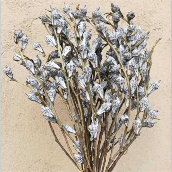10pcs house decoration dried natural real eucalyptus globulus fruit flowers bunch decorative & wreaths
10pcs house decoration dried natural real eucalyptus globulus fruit flowers bunch decorative & wreaths