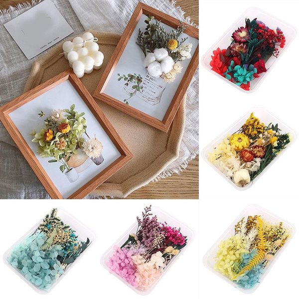 craft tools 1 box dried flower dry plant home decoration art handmade accessories eternal for diy filling decor
craft tools 1 box dried flower dry plant home decoration art handmade accessories eternal for diy filling decor
