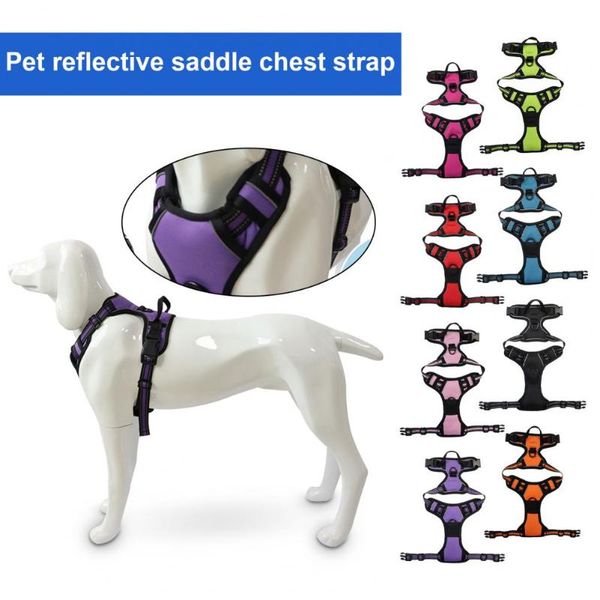 dog collars & leashes pet harness vest convenient no-choke chest strap lightweight
dog collars & leashes pet harness vest convenient no-choke chest strap lightweight