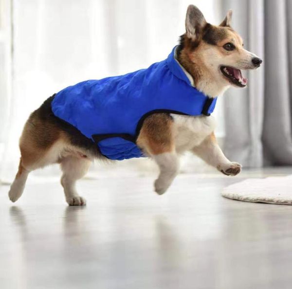 dog apparel winter cotton-padded clothes, double-layer padded pet clothes with buttons
dog apparel winter cotton-padded clothes, double-layer padded pet clothes with buttons