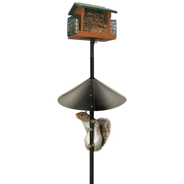 shade 16inch squirrel baffle for poles partition foldable squirrels cover wrap around anti-squirrel
shade 16inch squirrel baffle for poles partition foldable squirrels cover wrap around anti-squirrel