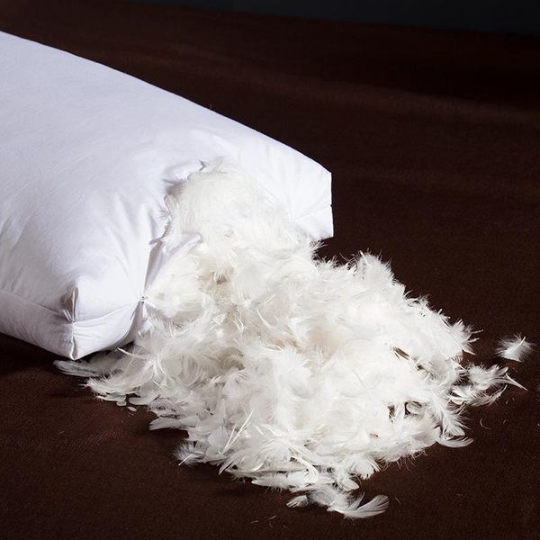 pillow elastic down bed pillows for sleeping white warm feather bedroom soft decorative twisted living room 48*74
pillow elastic down bed pillows for sleeping white warm feather bedroom soft decorative twisted living room 48*74