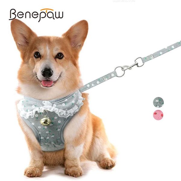 benepaw durable floral dog harness and leash set adjustable breathable no pull bell pet vest for small medium dogs cats collars & leashes
benepaw durable floral dog harness and leash set adjustable breathable no pull bell pet vest for small medium dogs cats collars & leashes