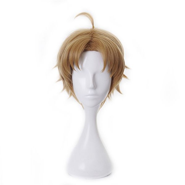 ludius grelat wig cosplay costume anime jobless reincarnation brown short synthetic hair wigs, Black
ludius grelat wig cosplay costume anime jobless reincarnation brown short synthetic hair wigs, Black