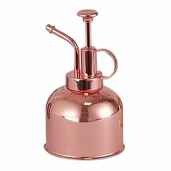 watering equipments 300ml pot pressing stainless steel garden sprayer for flower plants planting tools indoor outdoor
watering equipments 300ml pot pressing stainless steel garden sprayer for flower plants planting tools indoor outdoor