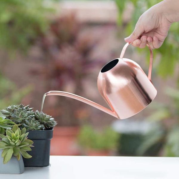 watering equipments long mouth water can stainless steel pot garden flower plants 500ml /1000ml meaty bonsai tool
watering equipments long mouth water can stainless steel pot garden flower plants 500ml /1000ml meaty bonsai tool