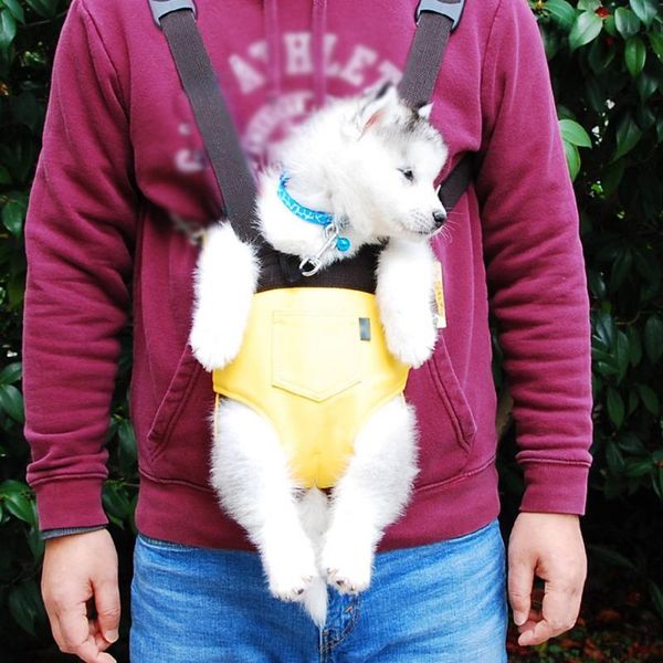 dog car seat covers pet carrier adjustable backpack outdoor travel products shoulder pad bags for small cat supplies
dog car seat covers pet carrier adjustable backpack outdoor travel products shoulder pad bags for small cat supplies