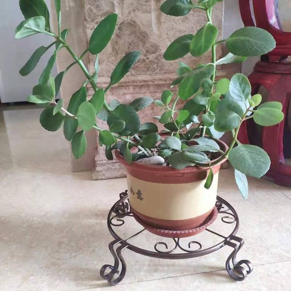planters & pots metal plant stands set for flower pot heavy duty potted holder indoor outdoor home gardening decor exquisite garden supplies
planters & pots metal plant stands set for flower pot heavy duty potted holder indoor outdoor home gardening decor exquisite garden supplies