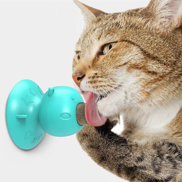 cat toys 1 pcs healthy catnip toothbrush candy licking nutrition gel energy ball toy for cats kittens increase drinking water
cat toys 1 pcs healthy catnip toothbrush candy licking nutrition gel energy ball toy for cats kittens increase drinking water
