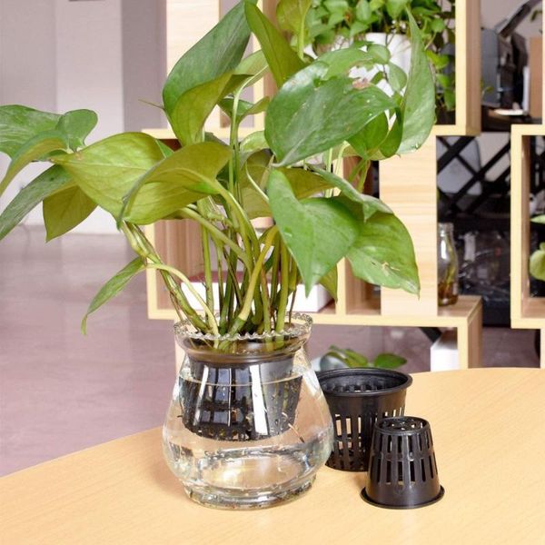25pcs grow basket black hydroponic pot durable suitable for cloning machine planters & pots
25pcs grow basket black hydroponic pot durable suitable for cloning machine planters & pots