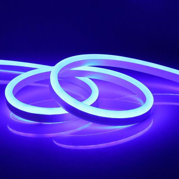 strips led light neon strip flexible home decoration lamp 12v for diy bendable letters numbers smd 2835
strips led light neon strip flexible home decoration lamp 12v for diy bendable letters numbers smd 2835