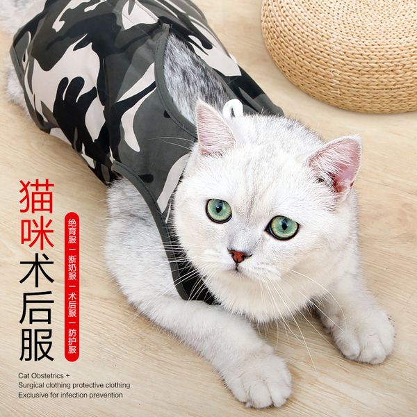 pet products cat sterilization cloth weaning anti licking posrative fan color style
pet products cat sterilization cloth weaning anti licking posrative fan color style