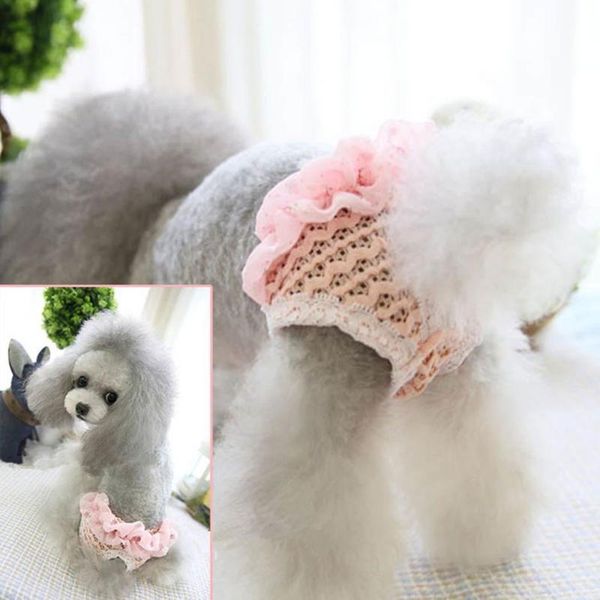 dog apparel cotton solid cute creactive pink green s m l size soft washable diapers breathable lace female puppy panties all seasons
dog apparel cotton solid cute creactive pink green s m l size soft washable diapers breathable lace female puppy panties all seasons