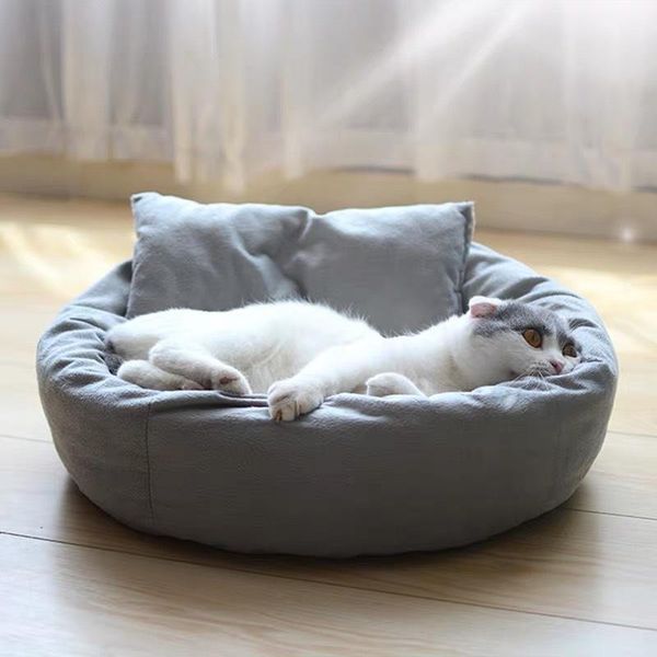 sofa egg tart shaped house cat lounger bed pp cotton soft plush for small mats big basket dog mattress pet supplies beds & furniture
sofa egg tart shaped house cat lounger bed pp cotton soft plush for small mats big basket dog mattress pet supplies beds & furniture