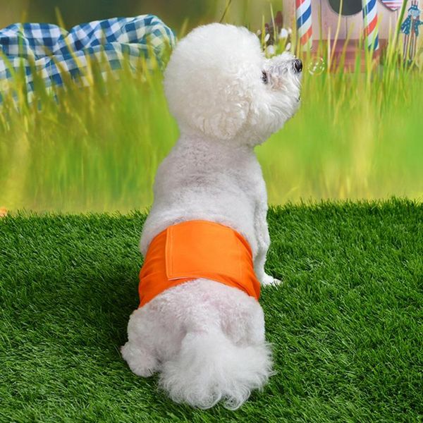 dog apparel puppy male physiology pants underwear sanitary briefs short diaper pet nappy menstruele hond ondergoed slipje