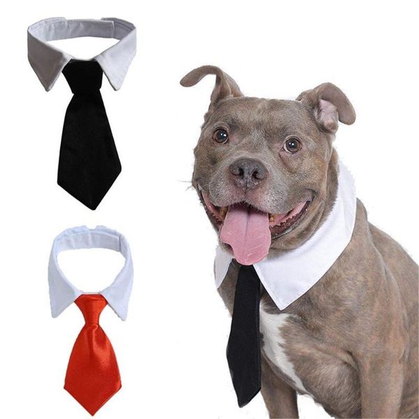dog apparel fashion cute tuxedo bow ties adjustable formal tie necktie pet accessories white collar
dog apparel fashion cute tuxedo bow ties adjustable formal tie necktie pet accessories white collar