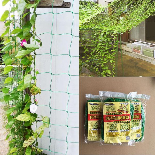 10pcs gardening net 2.7m*1.8m plant fence climbing frame garden anti-bird vegetable trellis netting fencing, & gates
10pcs gardening net 2.7m*1.8m plant fence climbing frame garden anti-bird vegetable trellis netting fencing, & gates