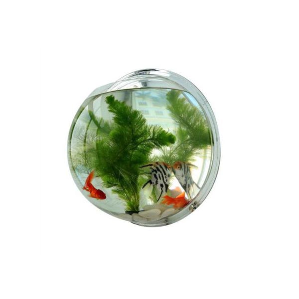 aquariums acrylic fish bowl wall mount tank aquarium for aquatic pet supplies products aquaculture cup
aquariums acrylic fish bowl wall mount tank aquarium for aquatic pet supplies products aquaculture cup