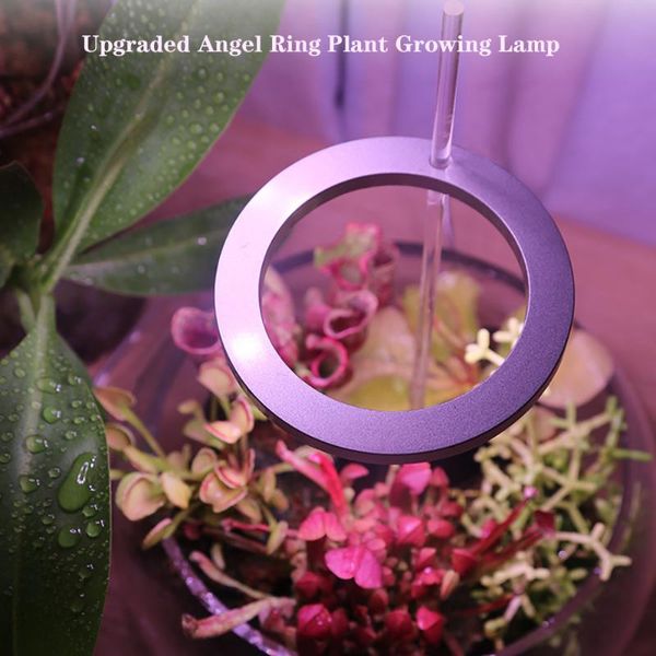 plant growing lamp full spectrum 20 leds growth lighting grow light for indoor phytolamp flower fleshy fill lights
plant growing lamp full spectrum 20 leds growth lighting grow light for indoor phytolamp flower fleshy fill lights
