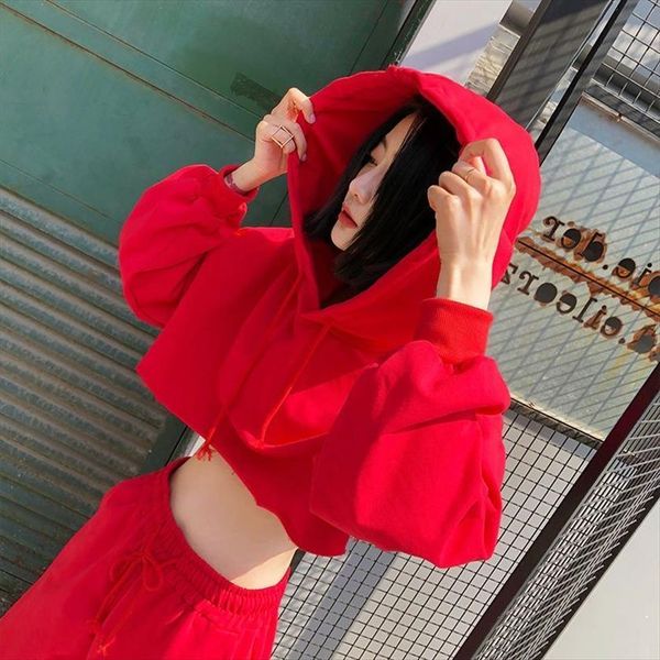 spring autumn 2 pcs womens tracksuits set korean fashion long sleeve loose short hooded sweater lace up pant two piece, Gray
spring autumn 2 pcs womens tracksuits set korean fashion long sleeve loose short hooded sweater lace up pant two piece, Gray