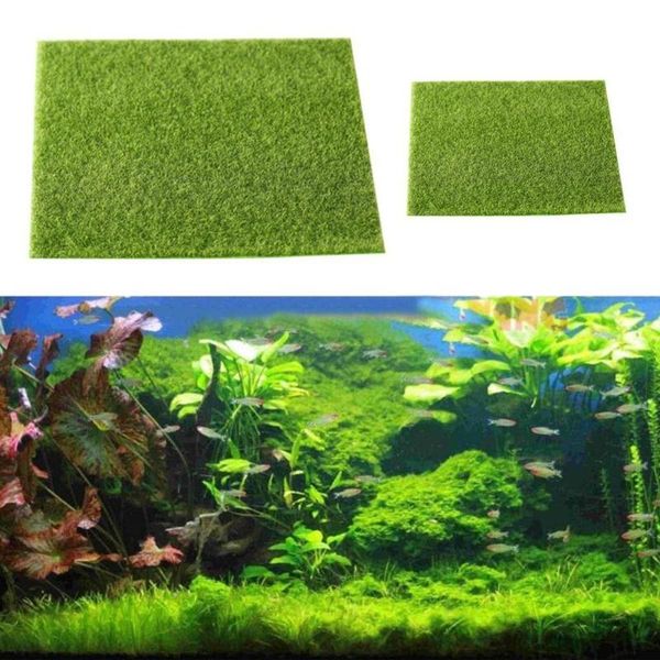 decorative flowers & wreaths micro landscape artificial grass accessories aquarium decor lawn garden real moss 30x30 cm
decorative flowers & wreaths micro landscape artificial grass accessories aquarium decor lawn garden real moss 30x30 cm