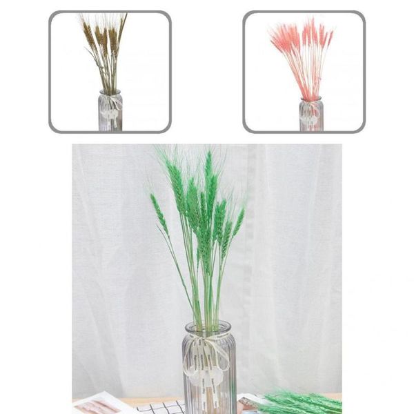 decorative flowers & wreaths 10 colors 25pcs/set practical pampas oat grass dried flower decor unique vivid for garden
decorative flowers & wreaths 10 colors 25pcs/set practical pampas oat grass dried flower decor unique vivid for garden