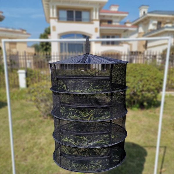 drying rack folding fishing net 4-layer with zipper 2ft hanging dryer for plants petals herbs flowers buds laundry storage & organization
drying rack folding fishing net 4-layer with zipper 2ft hanging dryer for plants petals herbs flowers buds laundry storage & organization