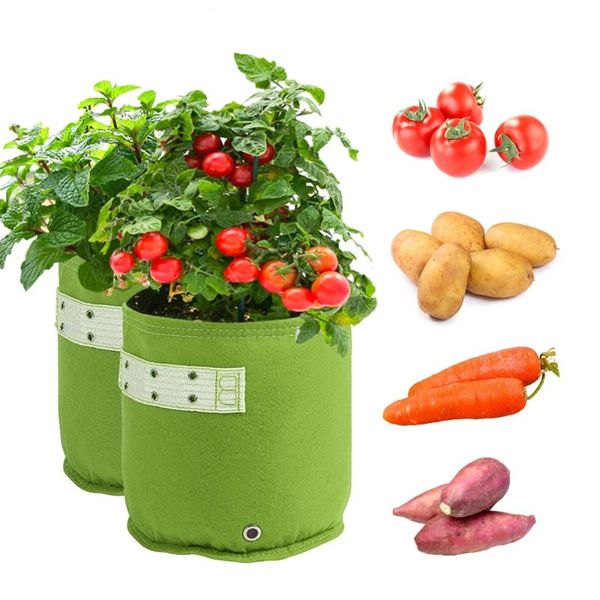 planters & pots 5 gallon garden plant grow bags flower pot strawberry tools orchard and for vegetable patch
planters & pots 5 gallon garden plant grow bags flower pot strawberry tools orchard and for vegetable patch