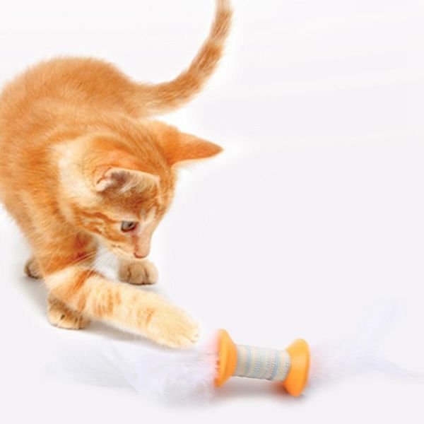 dumbbell cat toy funny kitten play pet roller playing with bells interactive toys fake feather
dumbbell cat toy funny kitten play pet roller playing with bells interactive toys fake feather