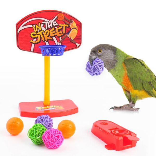other bird supplies mini funny parrot birds toys puzzel game basketball shoot toy for interactive small pet
other bird supplies mini funny parrot birds toys puzzel game basketball shoot toy for interactive small pet
