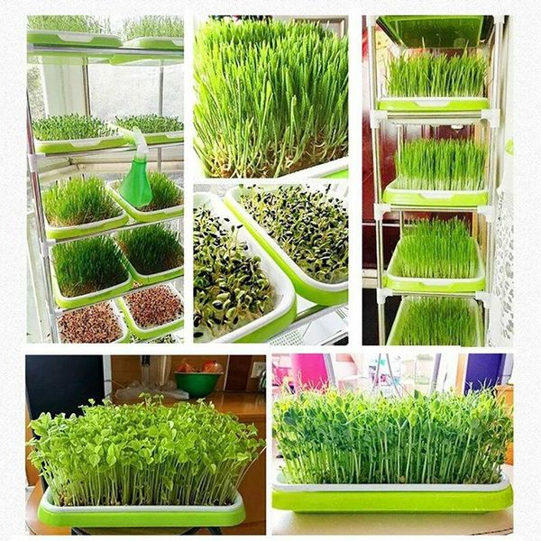 plastic seedling tray double-layer bean sprouts grow hydroponic flower basket home garden nursery pots accessories planters &
plastic seedling tray double-layer bean sprouts grow hydroponic flower basket home garden nursery pots accessories planters &