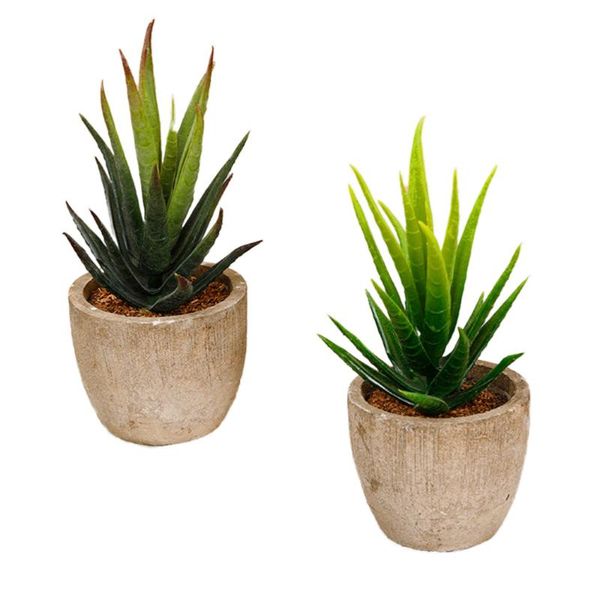 decorative flowers & wreaths 2 pcs simulated succulent plant ornament fake landscape decors ornaments for home office balcony supplies (gree
decorative flowers & wreaths 2 pcs simulated succulent plant ornament fake landscape decors ornaments for home office balcony supplies (gree