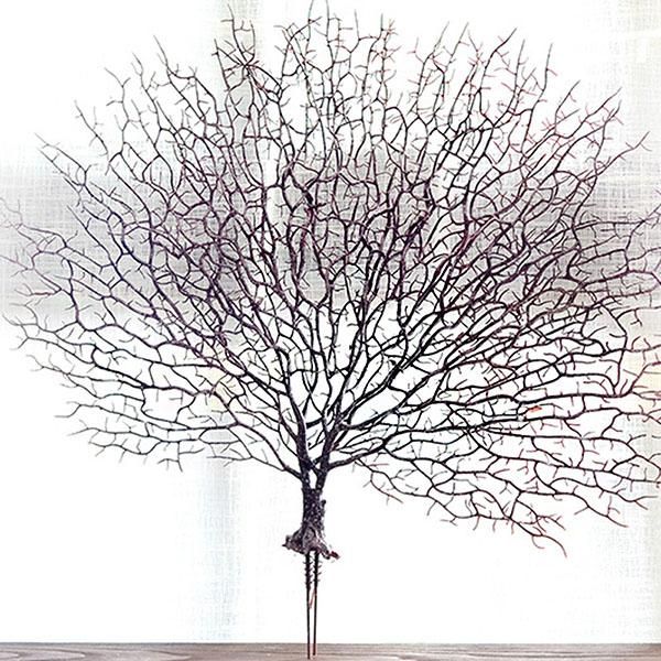 decorative flowers & wreaths artificial coral branch fake tree branches dried plants white plant home wedding decoration g10
decorative flowers & wreaths artificial coral branch fake tree branches dried plants white plant home wedding decoration g10