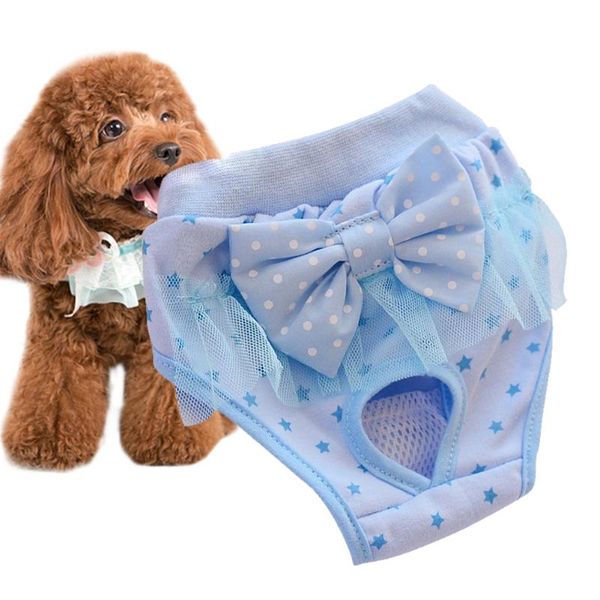 dog apparel washable elastic sanitary underwear lace physiological puppy diaper pet pants
dog apparel washable elastic sanitary underwear lace physiological puppy diaper pet pants