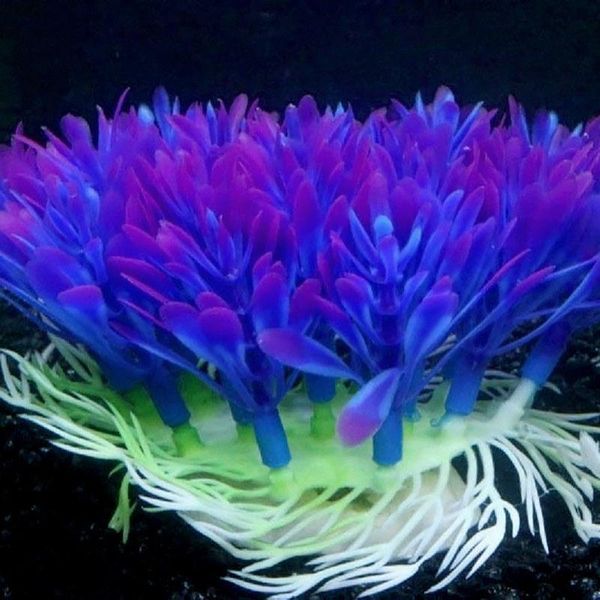 decorations cute purple artificial plastic plant aquarium decoration fish tank landscaping decor xh8z oc26
decorations cute purple artificial plastic plant aquarium decoration fish tank landscaping decor xh8z oc26