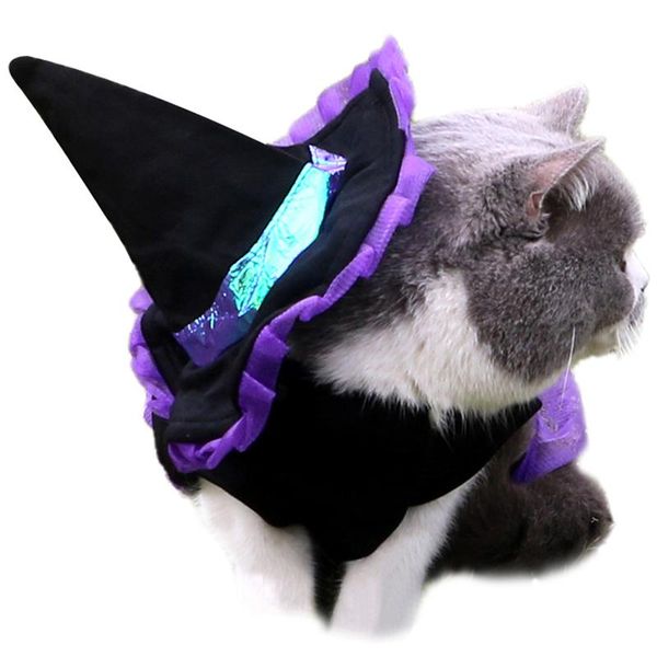 cat costumes pet witch clothes with hat festival dog costume outfit puppy party apparel halloween kitten cosplay accessories
cat costumes pet witch clothes with hat festival dog costume outfit puppy party apparel halloween kitten cosplay accessories