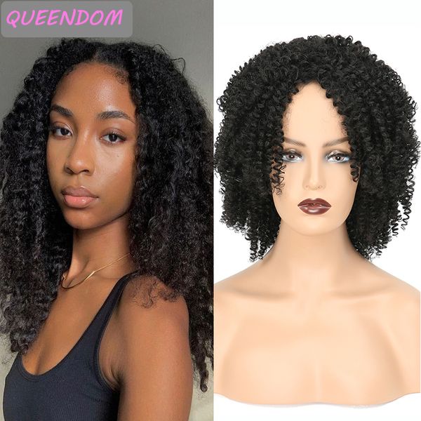 omber brown kinky curly wig 14 inch burgundy afro curly natural synthetic middle part wig heat resistant cosplay wigs for women, Black
omber brown kinky curly wig 14 inch burgundy afro curly natural synthetic middle part wig heat resistant cosplay wigs for women, Black
