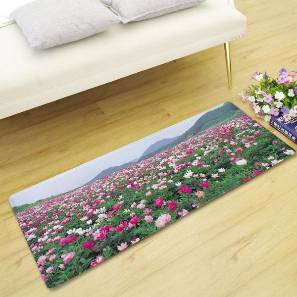 carpets wildflower door mat home decoration living room flannel anti-skid kitchen mats bath carpet bedside rug doormat
carpets wildflower door mat home decoration living room flannel anti-skid kitchen mats bath carpet bedside rug doormat