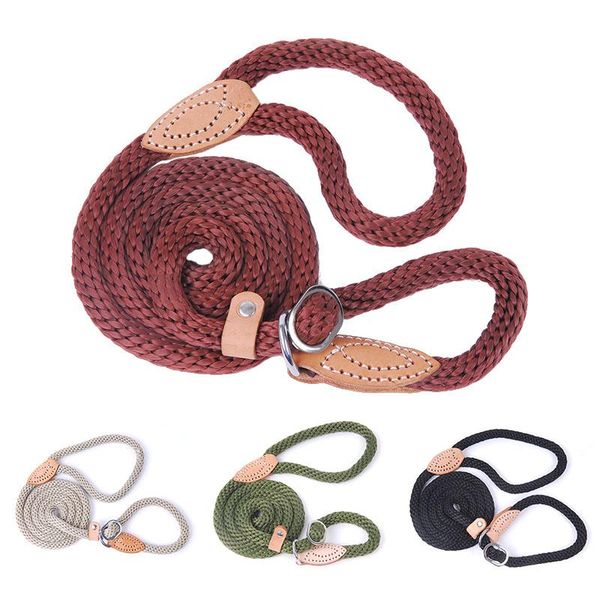 dog collars & leashes leash rope pet products puppy for small medium large dogs cat collar harness durable pitbull
dog collars & leashes leash rope pet products puppy for small medium large dogs cat collar harness durable pitbull