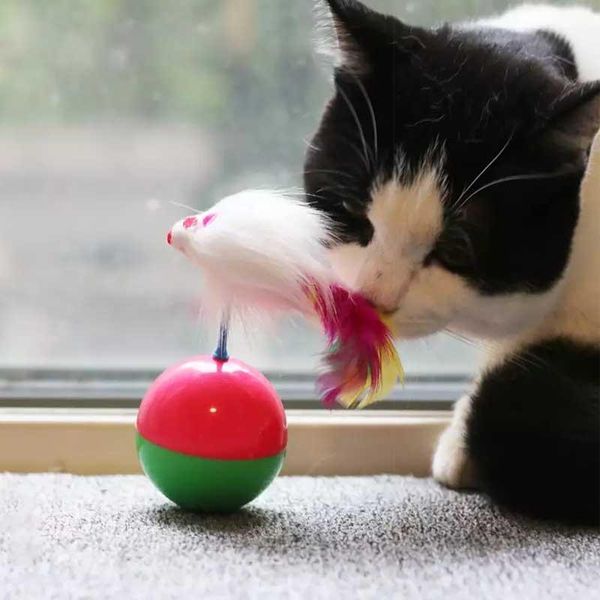 cat toys pets tumbler cats plush mouse bell feather vocal toy scratch apply to pet game training exercise ndestructible
cat toys pets tumbler cats plush mouse bell feather vocal toy scratch apply to pet game training exercise ndestructible