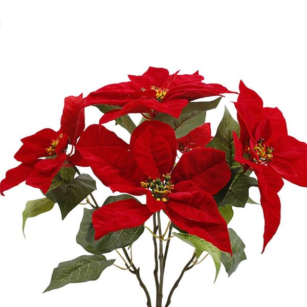 decorative flowers & wreaths wedding project simulation plants floral decoration artificial poinsettia red home décor flannelette silk fabri
decorative flowers & wreaths wedding project simulation plants floral decoration artificial poinsettia red home décor flannelette silk fabri