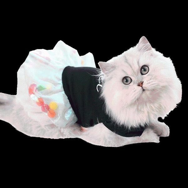 cat costumes spring autumn dresses coat warm kitten clothes cats christmas outfit vestiti per gatti pet party qoo50qz
cat costumes spring autumn dresses coat warm kitten clothes cats christmas outfit vestiti per gatti pet party qoo50qz