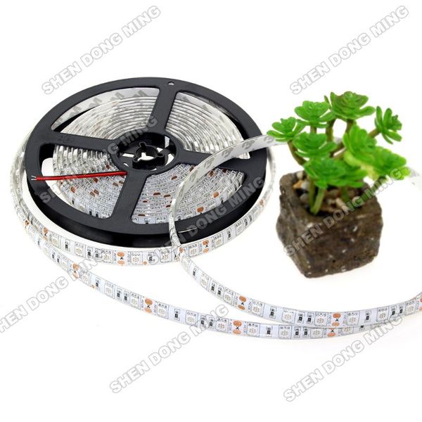outdoor rgb led strip waterproof smd cool white tube ip65 flexible tape light 300leds dc12v strips
outdoor rgb led strip waterproof smd cool white tube ip65 flexible tape light 300leds dc12v strips