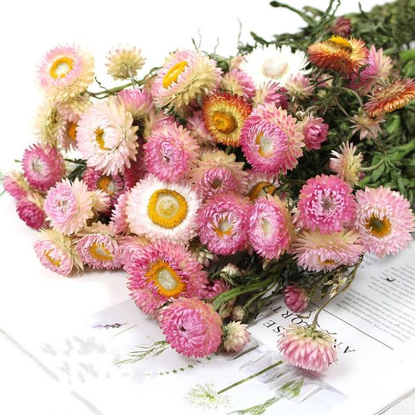 decorative flowers & wreaths natural dried wheat straw chrysanthemum diy decoration for home wedding party daisy accessories bouquet dekorat
decorative flowers & wreaths natural dried wheat straw chrysanthemum diy decoration for home wedding party daisy accessories bouquet dekorat